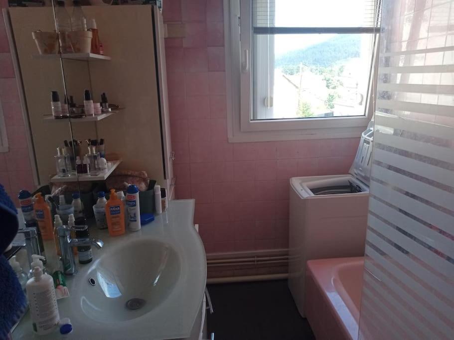 Appartement 83 M2 Renove Remiremont Exterior photo